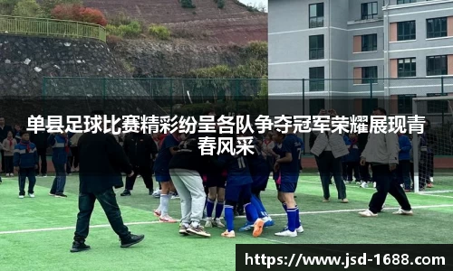 BB贝博登录入口