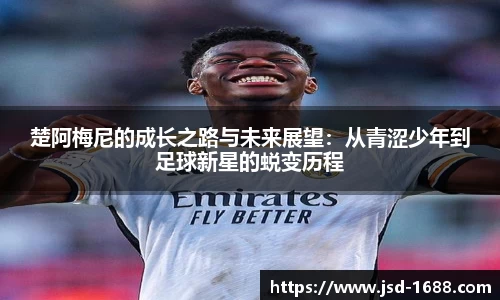 BB贝博登录入口