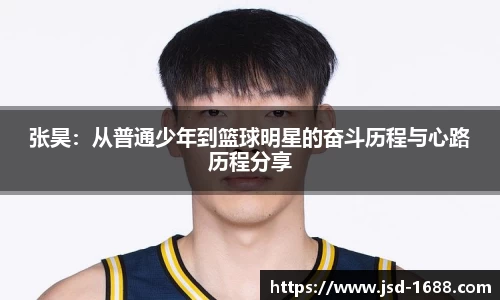 BB贝博登录入口