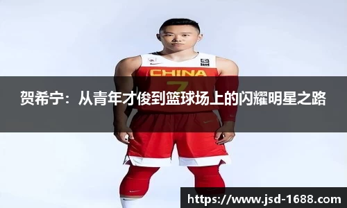 BB贝博登录入口