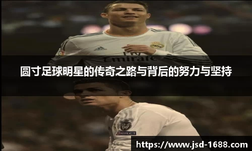 BB贝博登录入口